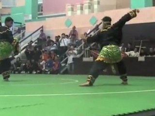 Pencak Silat Indonesia Martial Arts 03