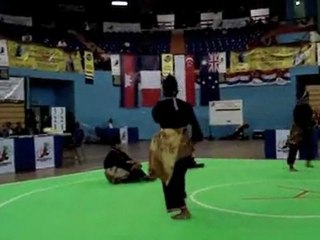 Pencak Silat Indonesia Martial Arts 09