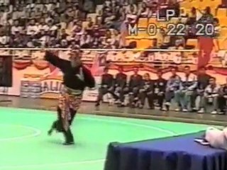 Pencak Silat Indonesia Martial Arts 18