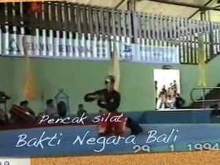 Pencak Silat Martial Arts Indonesia 24