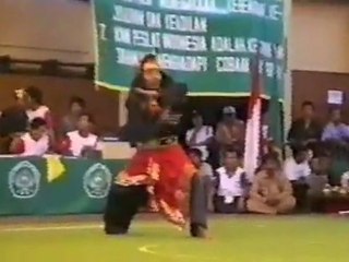Pencak Silat Martial Arts Indonesia 30