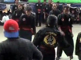 Pencak Silat Martial Arts Indonesia 31