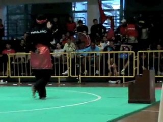 Pencak Silat Martial Arts Indonesia 28(Jurus Tunggal)