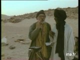 Théodore Monod - Le vieil homme et le desert - Le vieil homme, le desert et la météorite