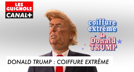 Donald Trump : Coiffure extrême - Les Guignols du 06/04 - CANAL+
