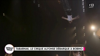 Tabarnak, le Cirque Alfonse débarque à Bobino
