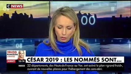 "Le Grand Bain", "Jusqu'à la garde", "Pupille"... Découvrez la liste des nommés pour les César 2019 qui auront lieu le 22 février
