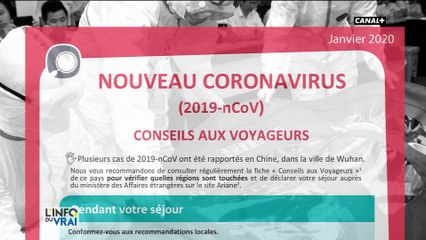 Coronavirus : un danger pour la France ?