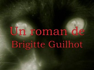 Vido de Brigitte Guilhot