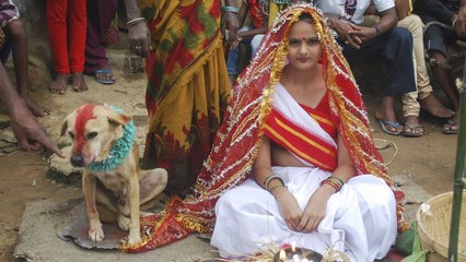 And sex girls in Lahore dog best Dog