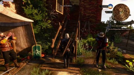 Witcher 3 Wild Hunt - Your Qs Answered de 