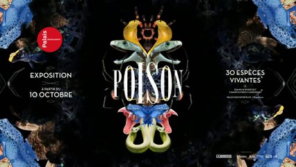 Exposition Poison - Teaser 