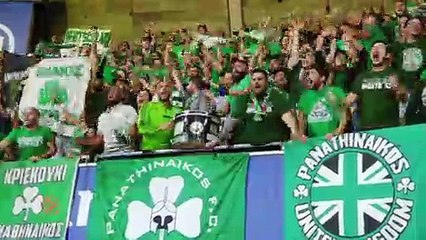 Pitino on Panathinaikos passion: 'Magic will be in the air'