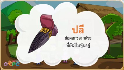 สื่อการเรียนการสอน คุณค่าของกล้วย ป.2 ภาษาไทย