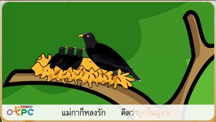 สื่อการเรียนการสอน นกกาเหว่า ป.2 ภาษาไทย