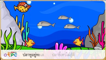 สื่อการเรียนการสอน มาตราตัวสะกดแม่ ก กา ป.2 ภาษาไทย
