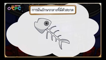 สื่อการเรียนการสอน การผันอักษรกลาง สูง ต่ำ ป.3 ภาษาไทย