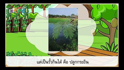สื่อการเรียนการสอน นอกเมือง ในกรุง ป.3 ภาษาไทย