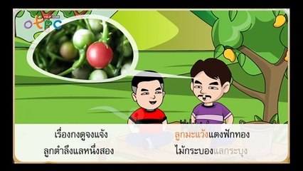 สื่อการเรียนการสอน เรียนรู้เรื่อง แม่ กง ป.3 ภาษาไทย