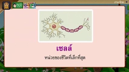 สื่อการเรียนการสอน เรียนรู้คำศัพท์เรื่อง คนดีศรีโรงเรียน ป.4 ภาษาไทย