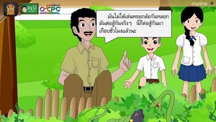 สื่อการเรียนการสอน อ่านในใจบทเรียนเรื่อง ชีวิตที่ถูกเมิน ป.4 ภาษาไทย