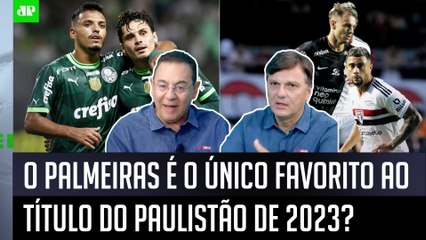 ‘É muito claro, essa diferença do Palmeiras para os outros reflete que…’: Veja esse ótimo debate