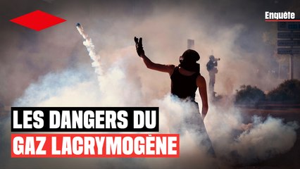 Foie, reins, cerveau : alerte sur les gaz lacrymogènes lancés dans les  manifestations – Libération