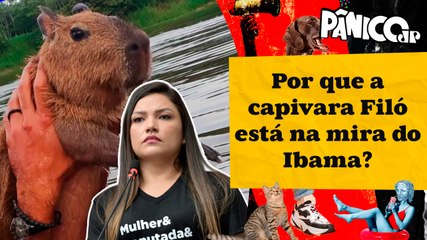 Deputada Joana Darc: ‘Agenor vem sendo acusado como se fosse o maior criminoso do Amazonas’