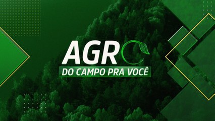 A PRODUÇÃO DA CACHAÇA QUE VENCEU O PRÊMIO CNA BRASIL ARTESANAL | AGRO: DO CAMPO PRA VOCÊ – 09/07/23