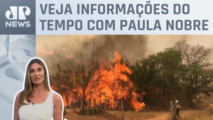 Focos de queimadas aumentam em algumas regiões do Brasil