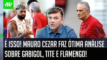 ‘Isso seria uma infantilidade, uma babaquice, né?’; Mauro Cezar fala sobre Tite e Gabigol no Flamengo