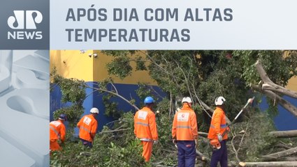 Fortes chuvas causam queda de árvores e destroem rede elétrica em São Paulo