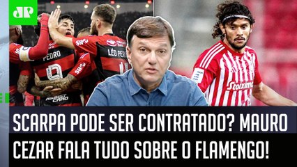 ‘Pelo o que apurei sobre o Scarpa, o Flamengo…’: Mauro Cezar revela bastidores e fala tudo