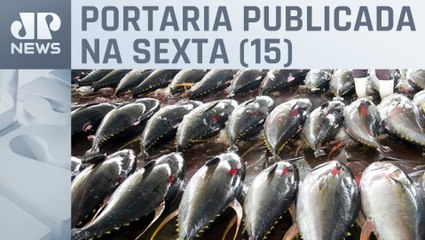 Governo federal suspende pesca de atum até 31 de dezembro