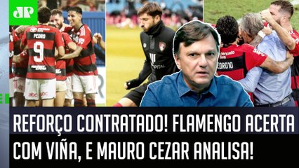 ‘É uma boa contratação do Flamengo, é um jogador que pode…’; Mauro Cezar elogia e analisa Viña!