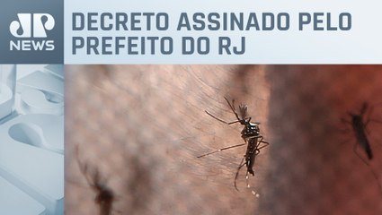 Rio de Janeiro decreta situação de emergência por causa da dengue