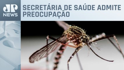 SP deve ter disparada nos casos de dengue após Carnaval