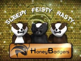 Honey Badgers de NBA Jam
