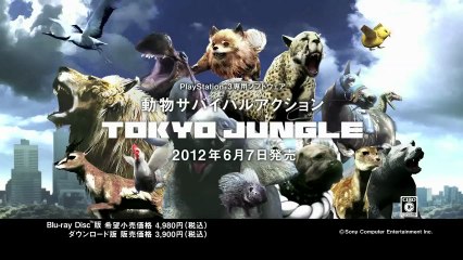 Tokyo Jungle - Pub TV de Tokyo Jungle